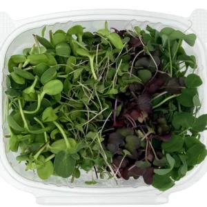 Micro Mix Microgreens