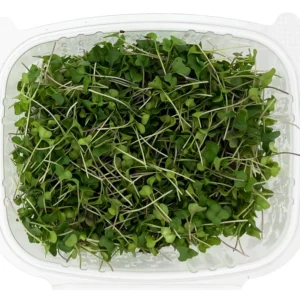 Broccoli Microgreens