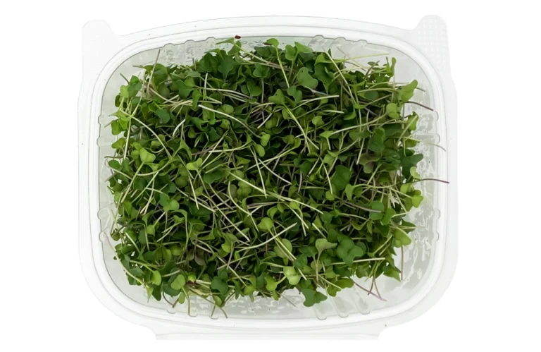 Broccoli Microgreens