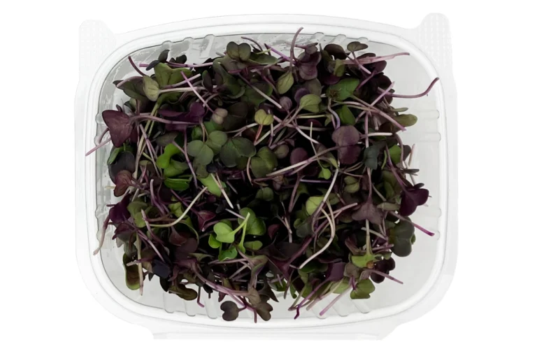 Red Radish Microgreens