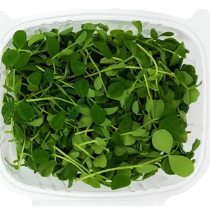 Speckled Pea Microgreens