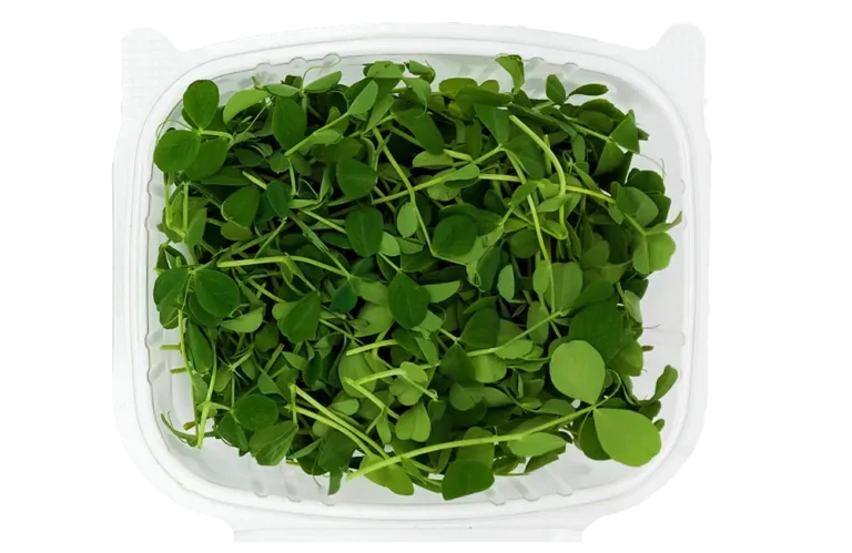 Speckled Pea Microgreens