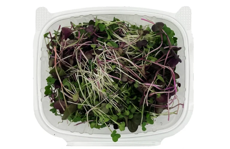 Spicy Mix Microgreens