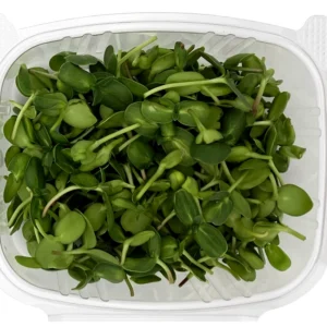 Sunflower Microgreens