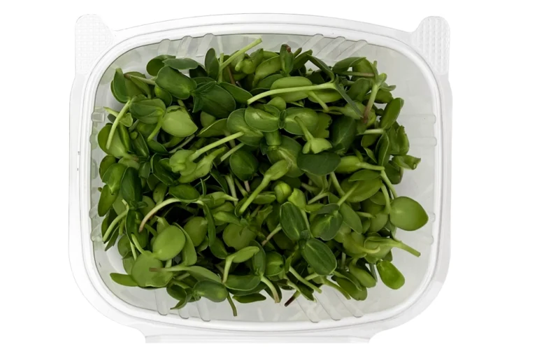 Sunflower Microgreens